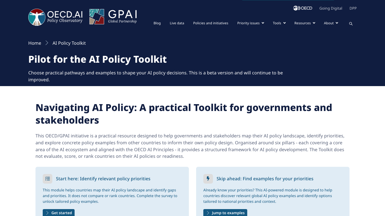 OECD.AI/GPAI AI Policy Toolkit